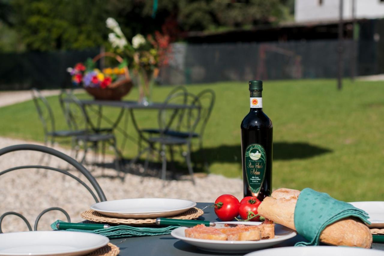 Agriturismo Villa Sardini Lucca Bagian luar foto