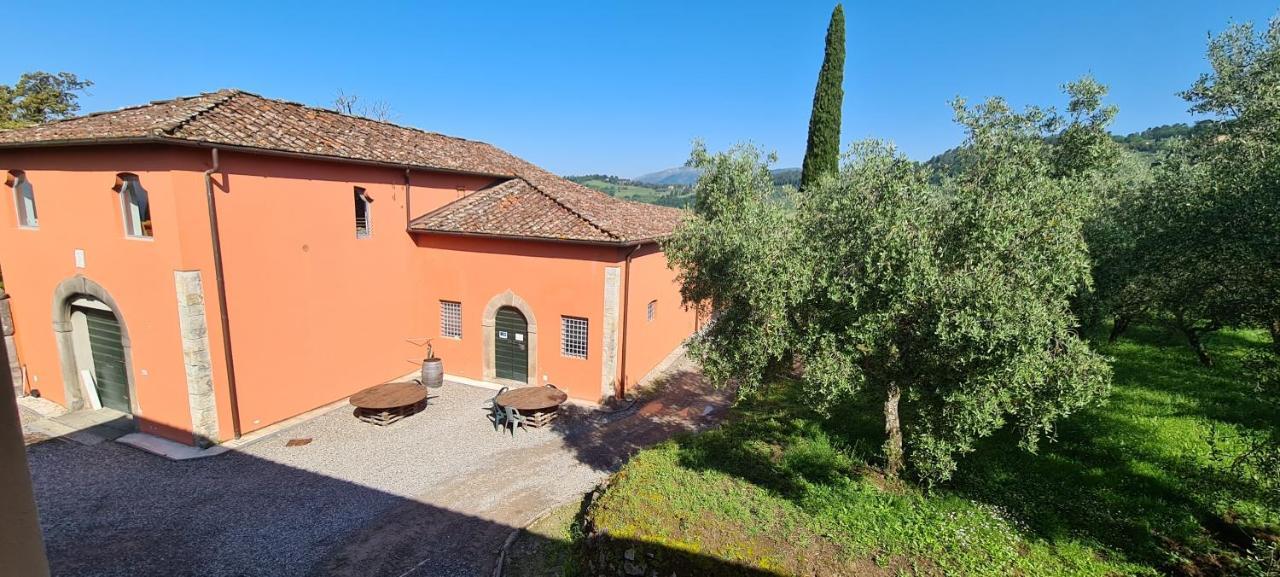 Agriturismo Villa Sardini Lucca Bagian luar foto