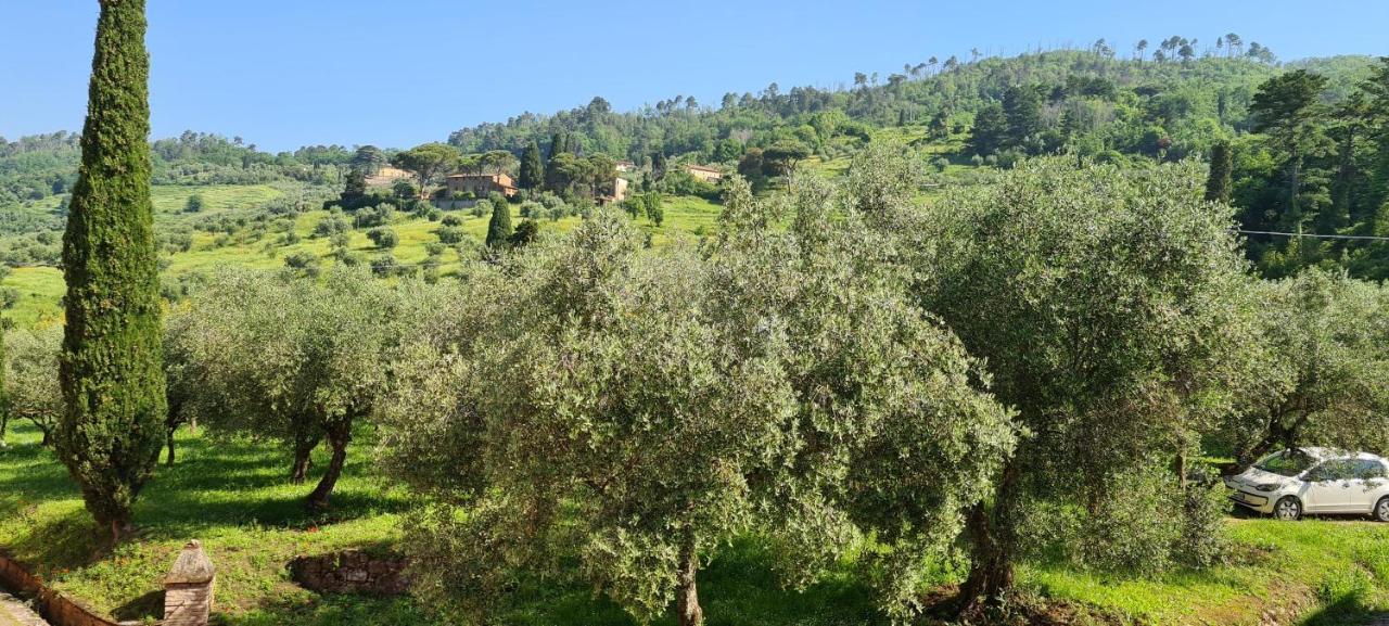 Agriturismo Villa Sardini Lucca Bagian luar foto