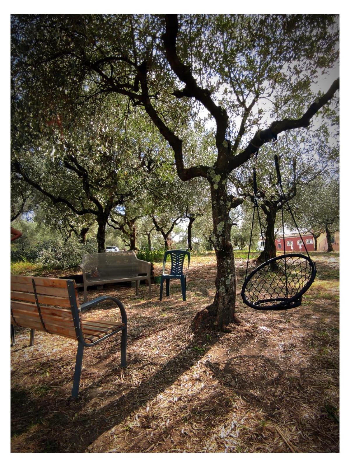 Agriturismo Villa Sardini Lucca Bagian luar foto