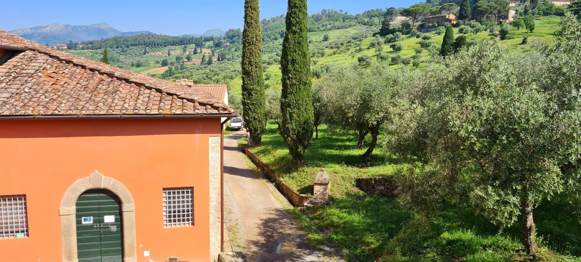 Agriturismo Villa Sardini Lucca Bagian luar foto